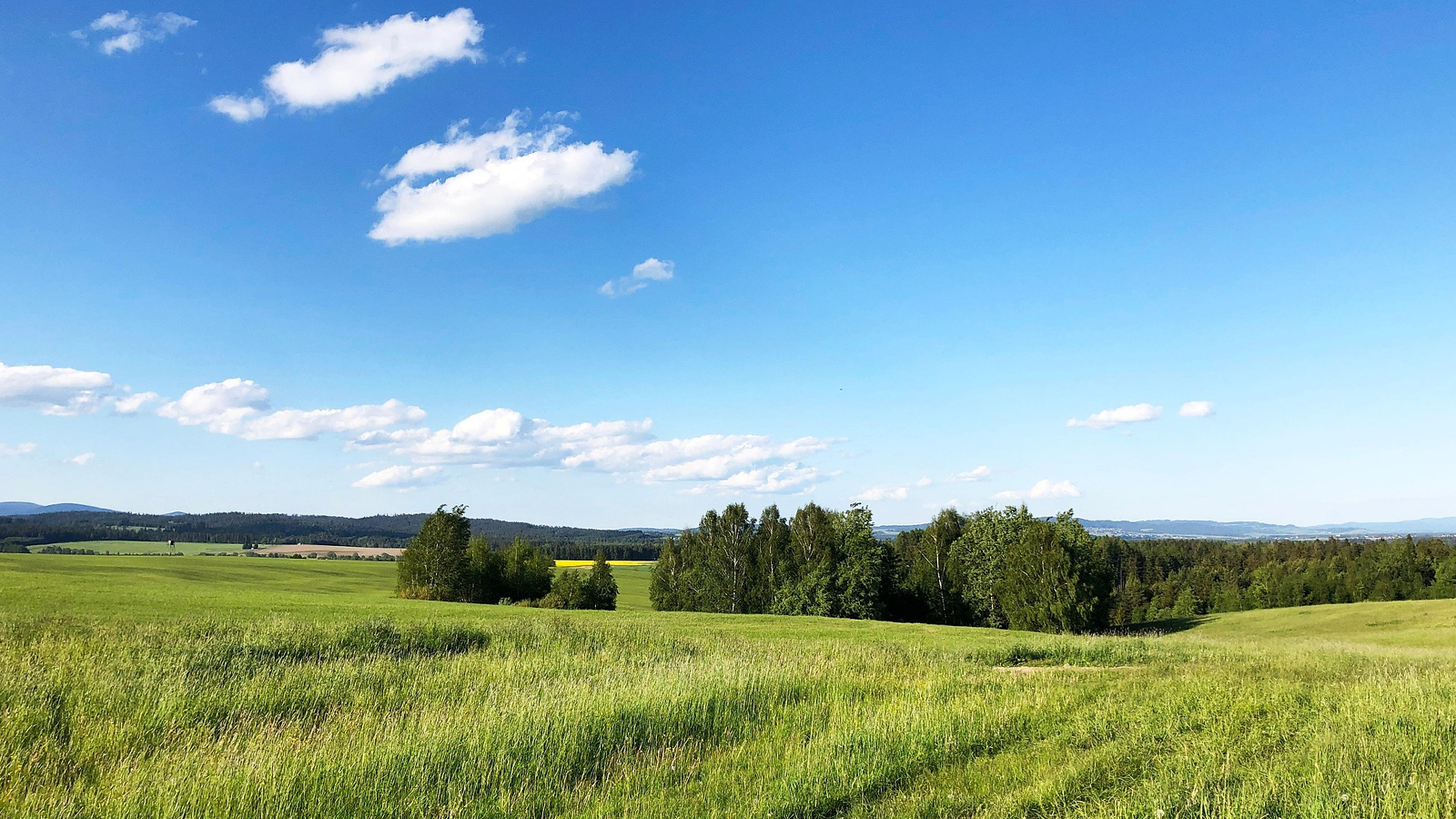Neuer Schutz für den Ith: Landkreis startet Verfahren für eines der bedeutendsten Naturgebiete der Region