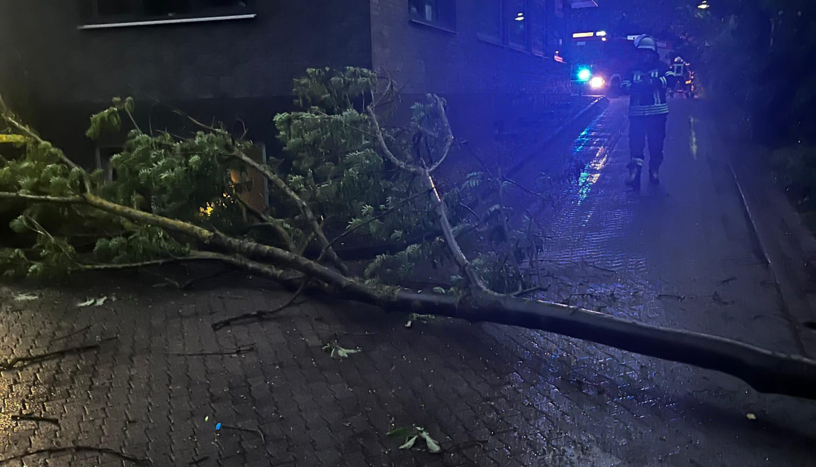 Gewitter sorgt für Einsätze in Polle: Überflutete Straße und entwurzelter Baum beschäftigen Feuerwehr