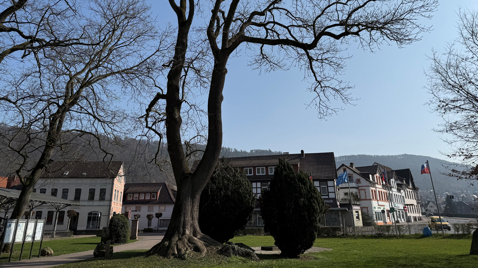 Baumkontrolle zeigt Schäden: Rückschnitt der „Lutheresche“ in Bodenwerder notwendig