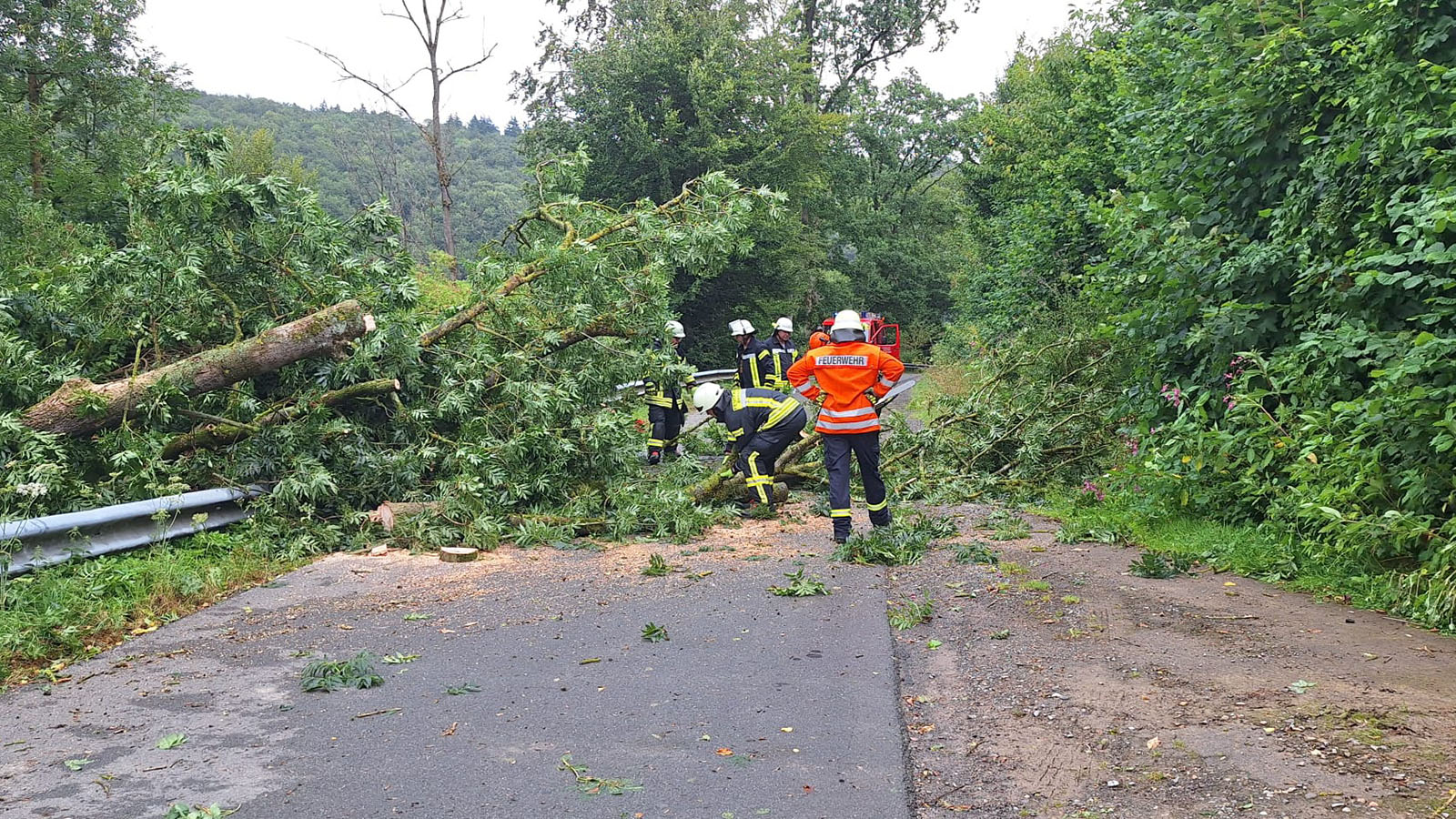 Bäume blockieren Straßen: Feuerwehren bewältigen zahlreiche Einsätze im Landkreis Holzminden