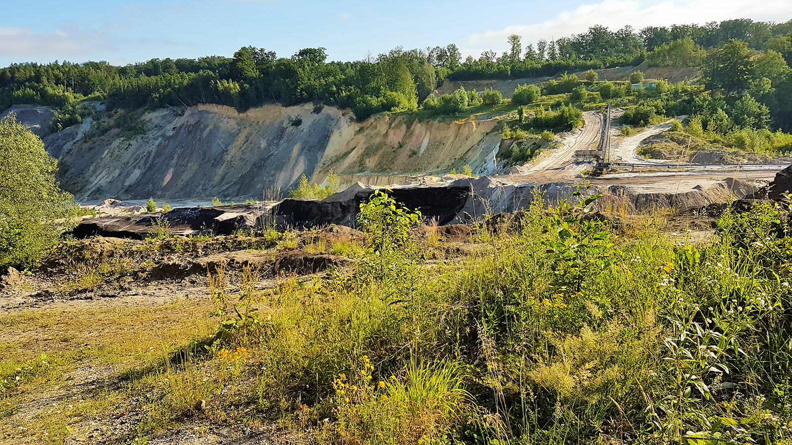 Region Aktiv